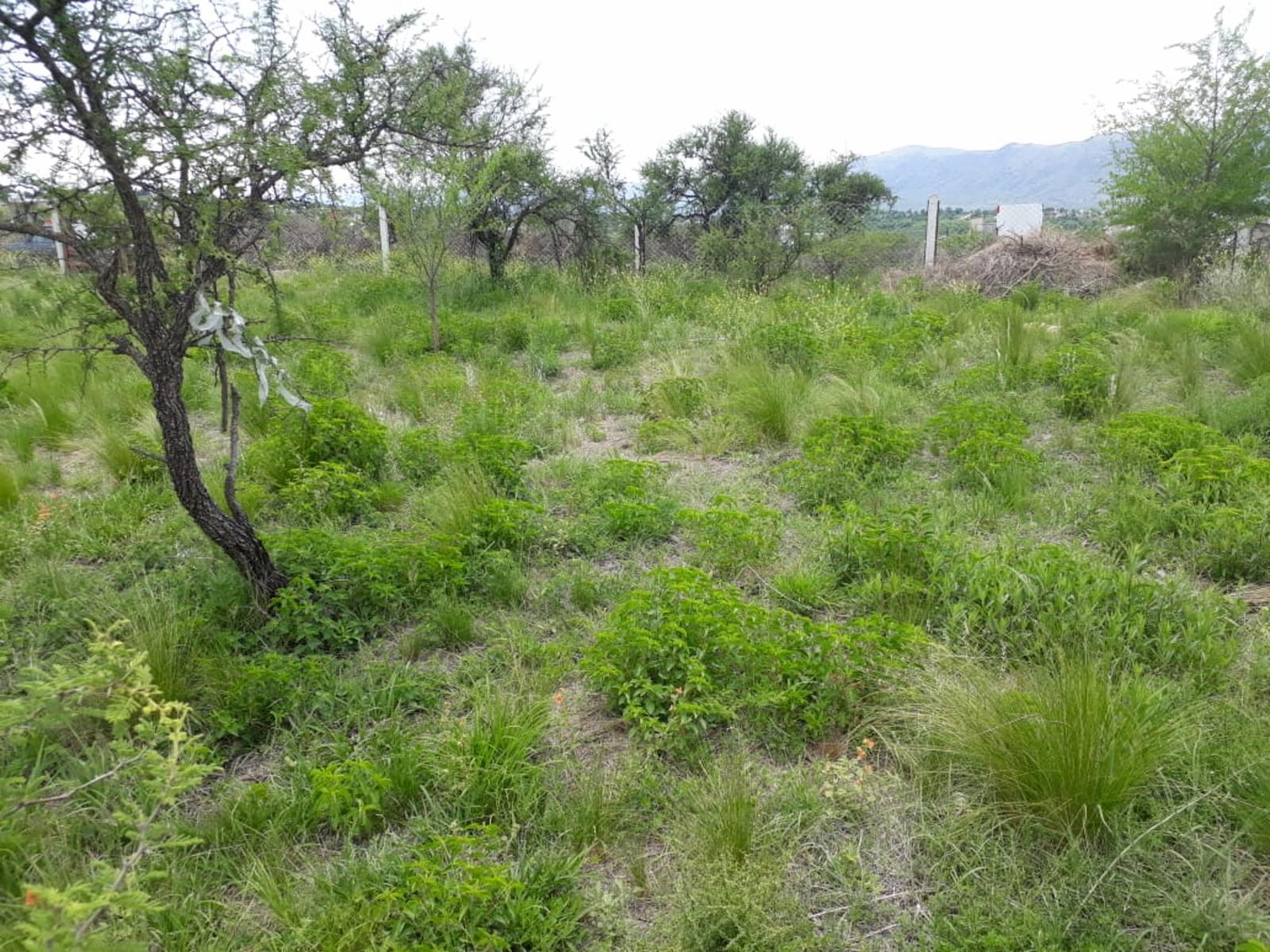 N°Ref 1256-Terreno en Bialet Masse con increíble vista a las Sierras — foto 11