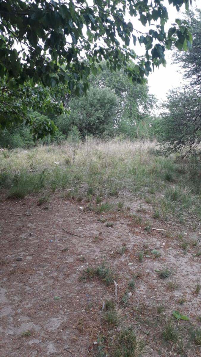 N°REF 1248- DOS PROPIEDADES SOBRE INCREÍBLE TERRENO DE 3300M2 UBICADO EN COSQUÍN A 150 M DE LA RUTA 38 Y A 8 CUADRAS DEL RIO COSQUIN. — foto 5