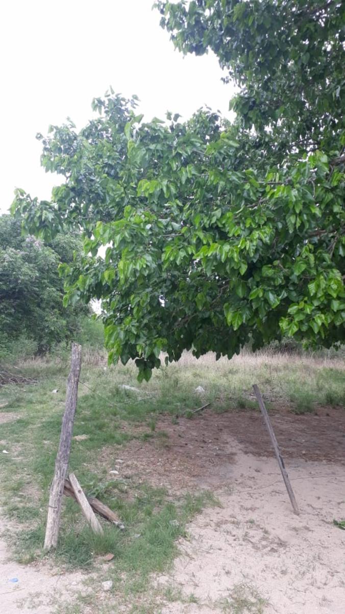 N°REF 1248- DOS PROPIEDADES SOBRE INCREÍBLE TERRENO DE 3300M2 UBICADO EN COSQUÍN A 150 M DE LA RUTA 38 Y A 8 CUADRAS DEL RIO COSQUIN. — foto 10