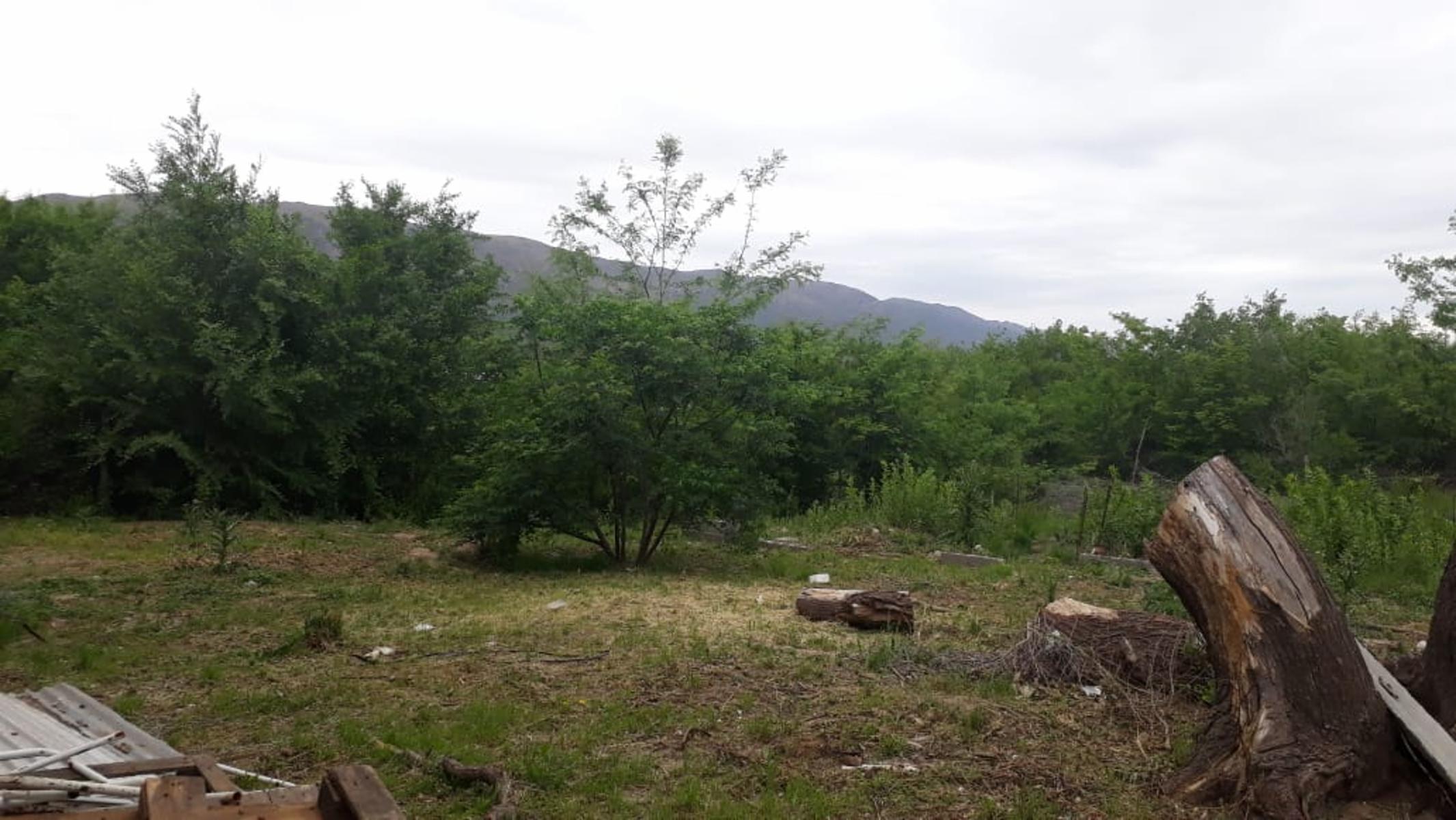 N°REF 1248- DOS PROPIEDADES SOBRE INCREÍBLE TERRENO DE 3300M2 UBICADO EN COSQUÍN A 150 M DE LA RUTA 38 Y A 8 CUADRAS DEL RIO COSQUIN. — foto 11