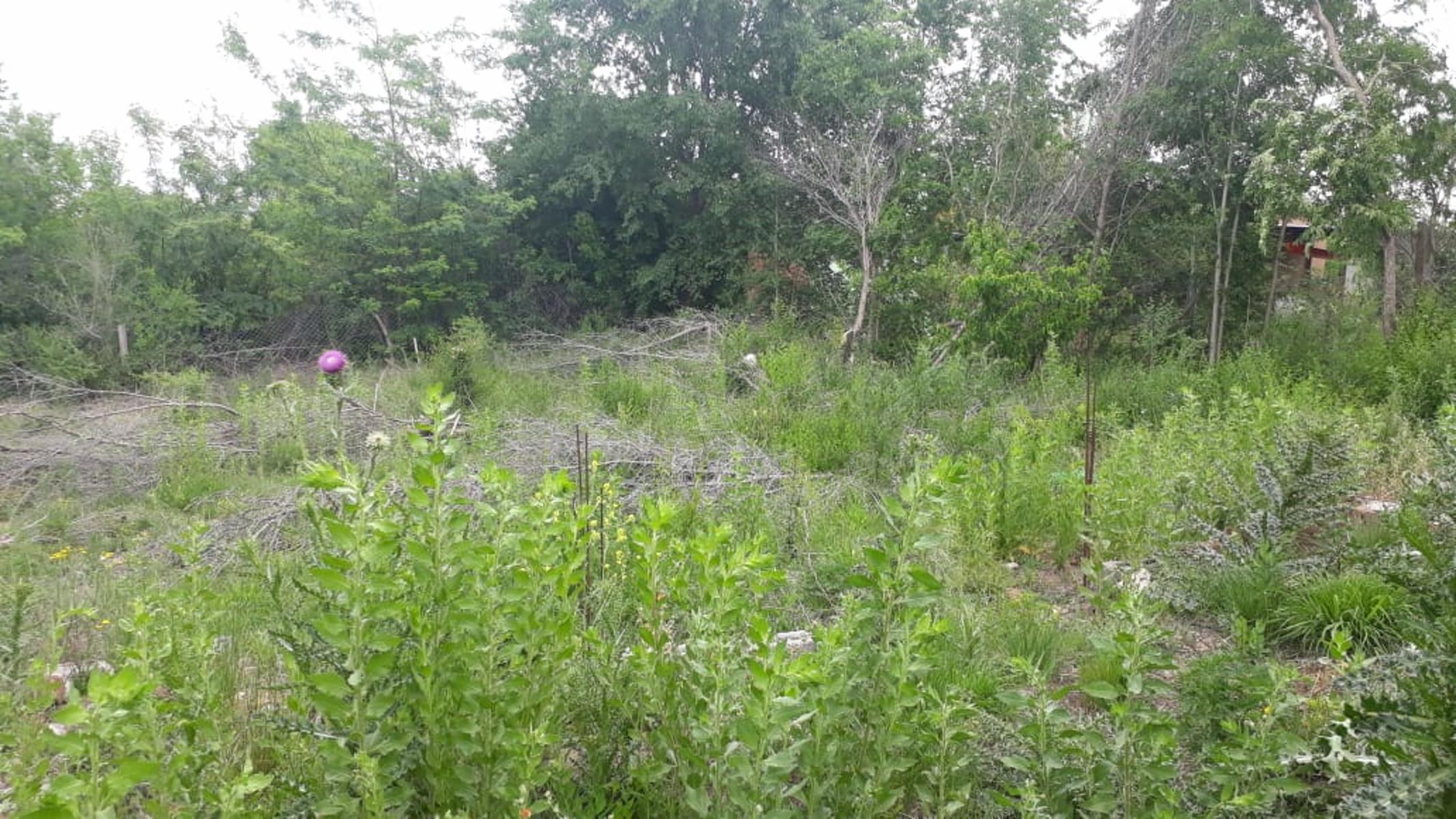 N°REF 1248- DOS PROPIEDADES SOBRE INCREÍBLE TERRENO DE 3300M2 UBICADO EN COSQUÍN A 150 M DE LA RUTA 38 Y A 8 CUADRAS DEL RIO COSQUIN. — foto 14