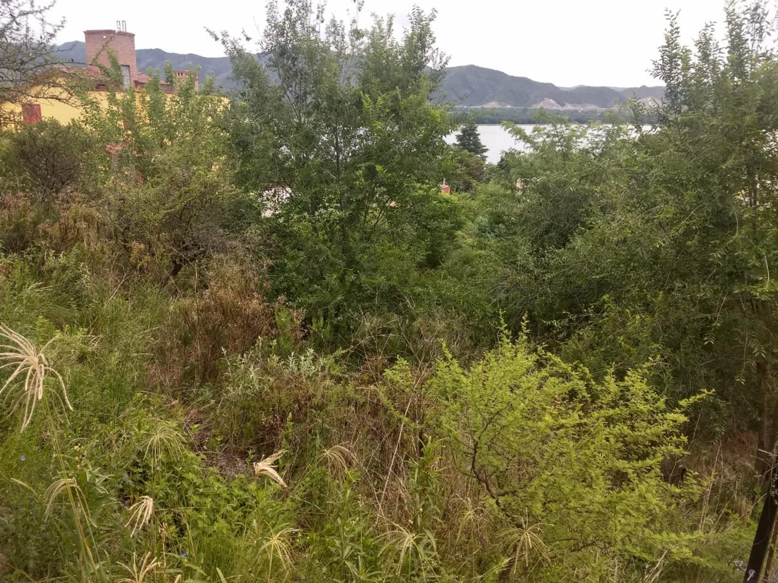 N°Ref 1269-Terreno en Parque Siquiman, con increíble vista al lago San Roque y a 100m de la bajada al lago. — foto 10