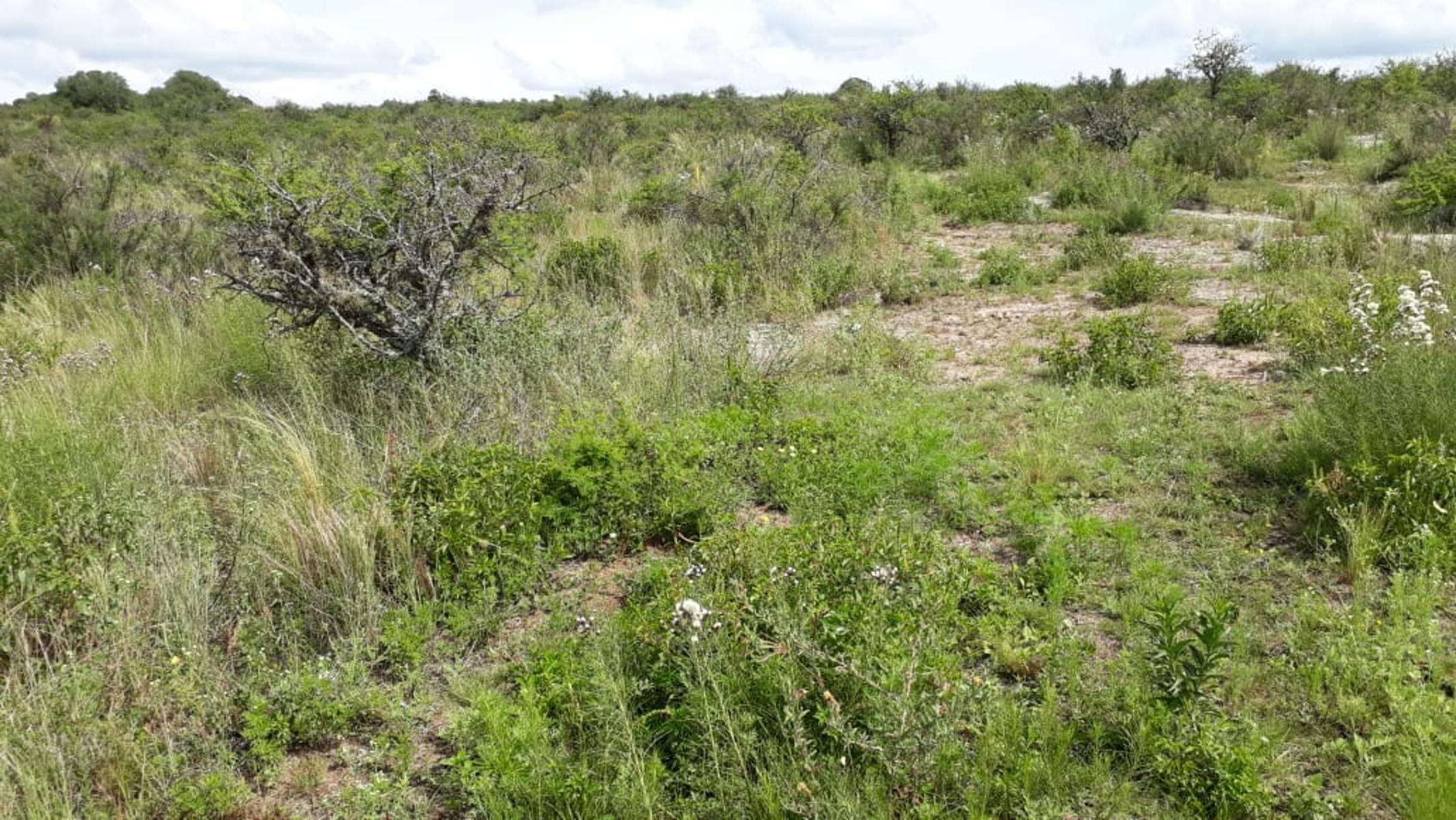 N°de ref 1225- Hermoso terreno en Bialet Masse a 800mts aprox. del Rio Mallín — foto 2