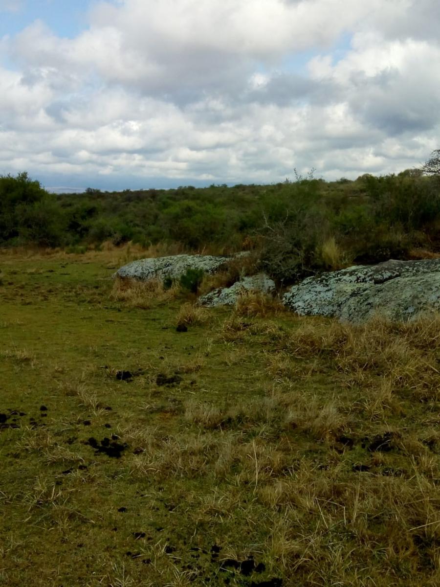 N°de ref 1225- Hermoso terreno en Bialet Masse a 800mts aprox. del Rio Mallín — foto 3