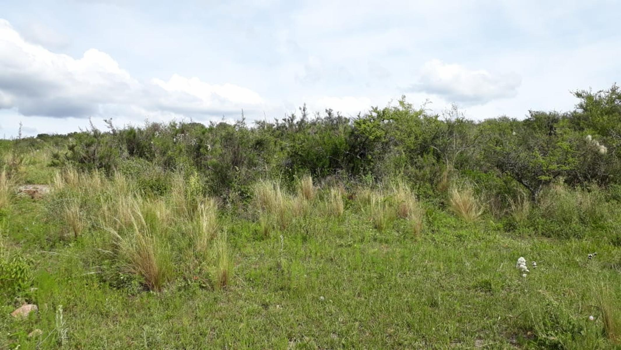 N°de ref 1225- Hermoso terreno en Bialet Masse a 800mts aprox. del Rio Mallín — foto 4