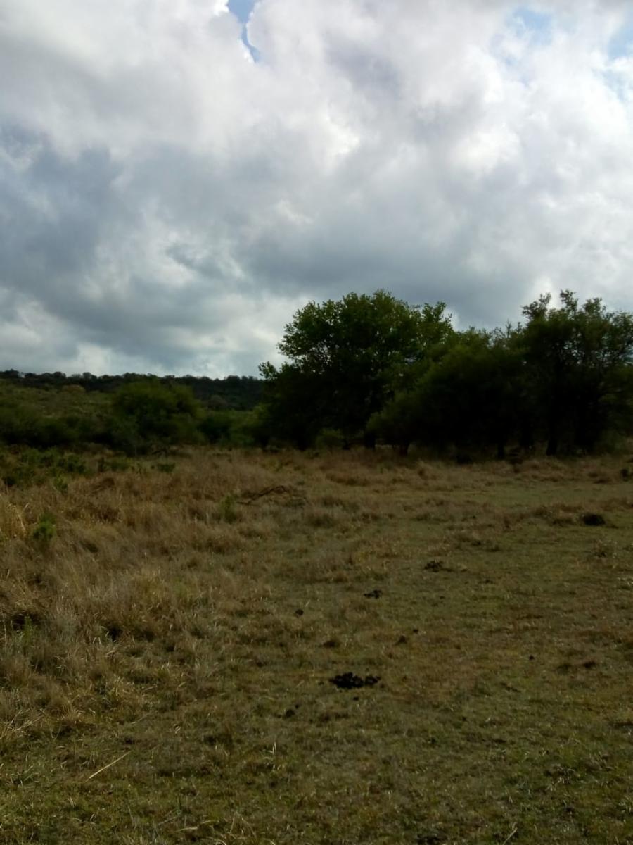 N°de ref 1225- Hermoso terreno en Bialet Masse a 800mts aprox. del Rio Mallín — foto 5