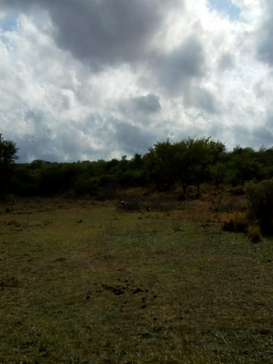 N°de ref 1225- Hermoso terreno en Bialet Masse a 800mts aprox. del Rio Mallín — foto 6