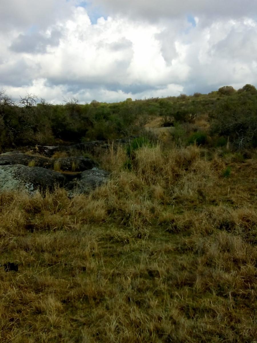 N°de ref 1225- Hermoso terreno en Bialet Masse a 800mts aprox. del Rio Mallín — foto 7
