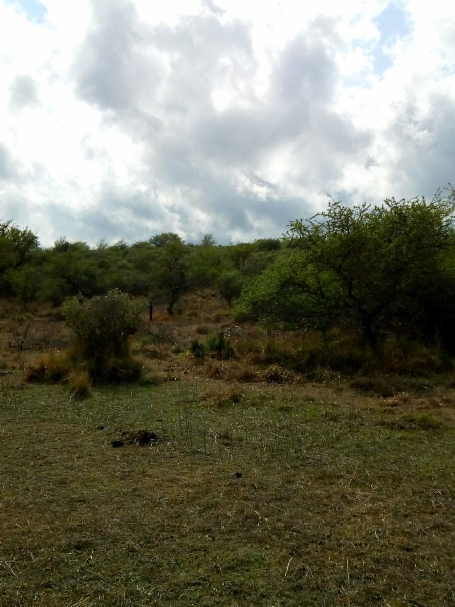 N°de ref 1225- Hermoso terreno en Bialet Masse a 800mts aprox. del Rio Mallín — foto 8