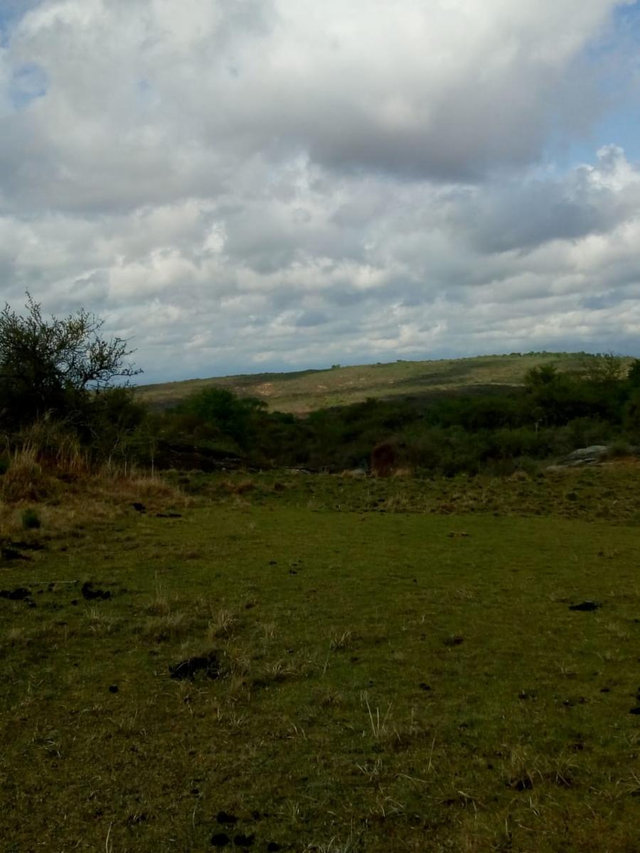 N°de ref 1225- Hermoso terreno en Bialet Masse a 800mts aprox. del Rio Mallín — foto 10