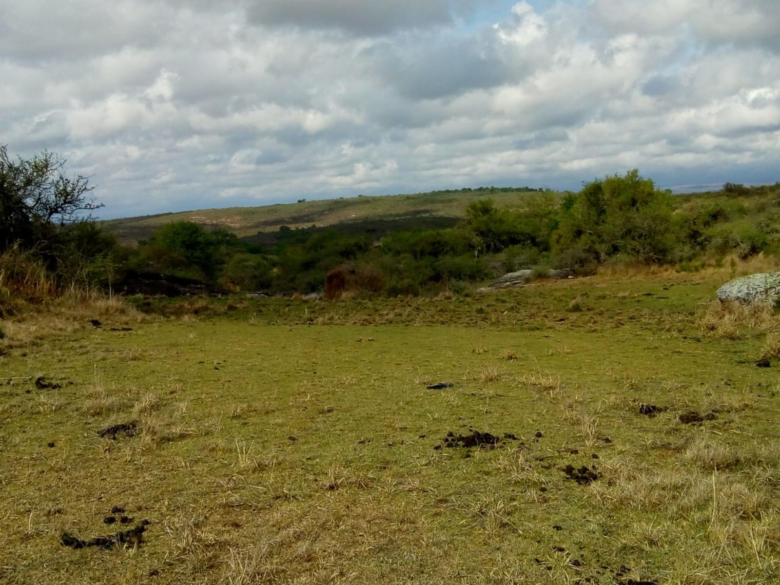 N°de ref 1225- Hermoso terreno en Bialet Masse a 800mts aprox. del Rio Mallín — foto 11