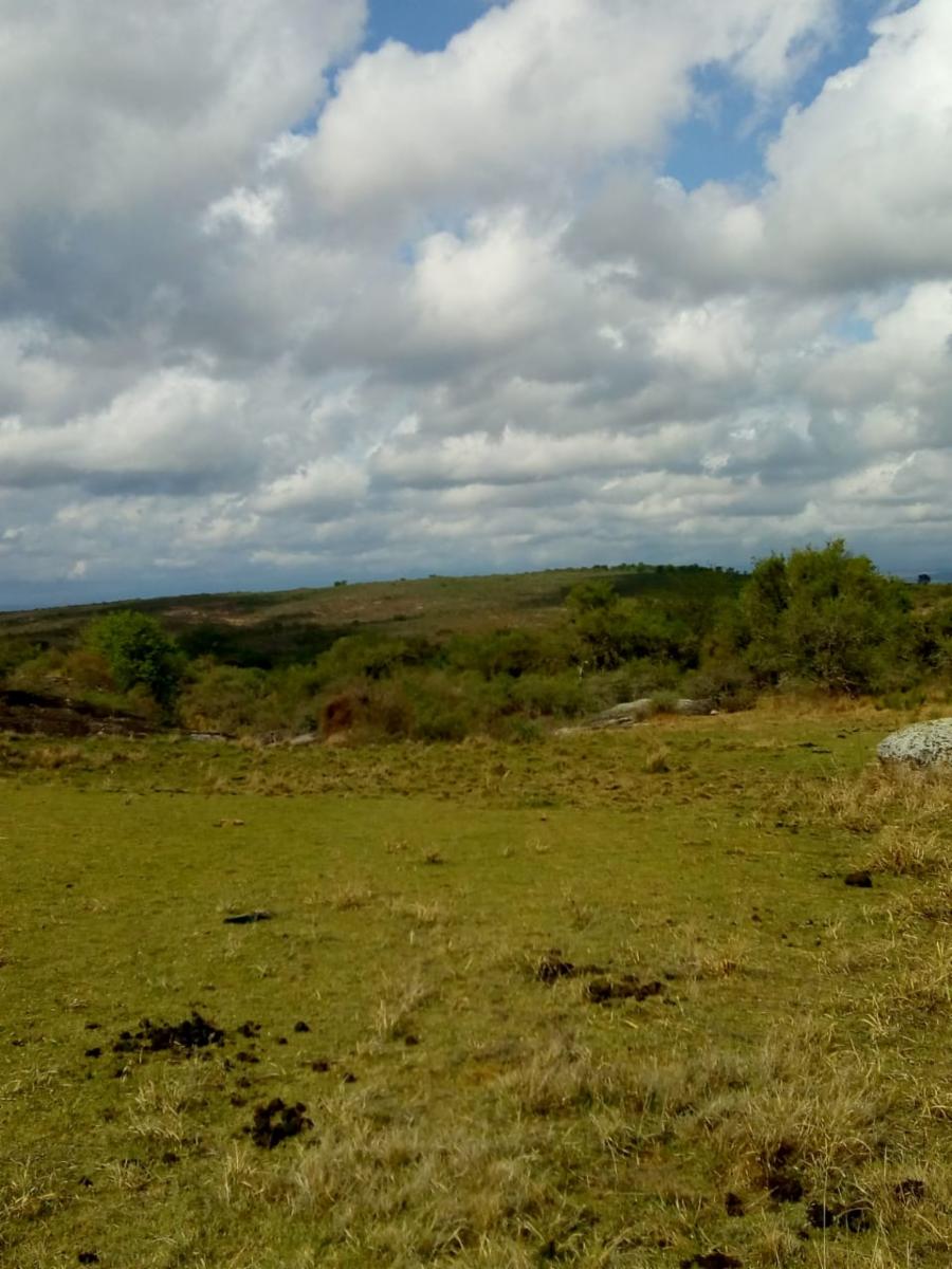 N°de ref 1225- Hermoso terreno en Bialet Masse a 800mts aprox. del Rio Mallín — foto 13