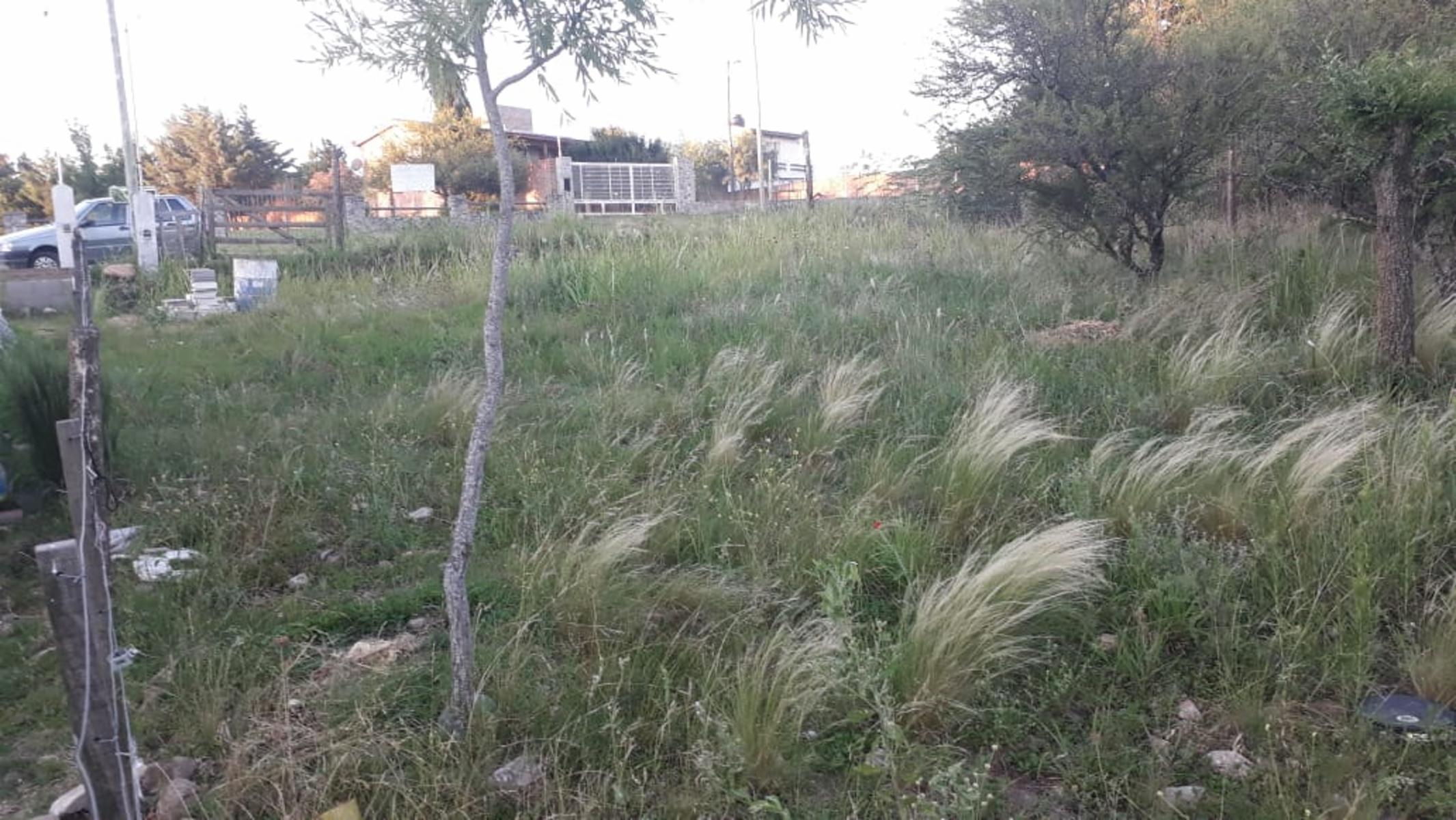 N°ref 1271-Hermoso terreno en Bialet Masse a 150m aprox de la Ruta 38 y a 50m del lago San Roque. — foto 3