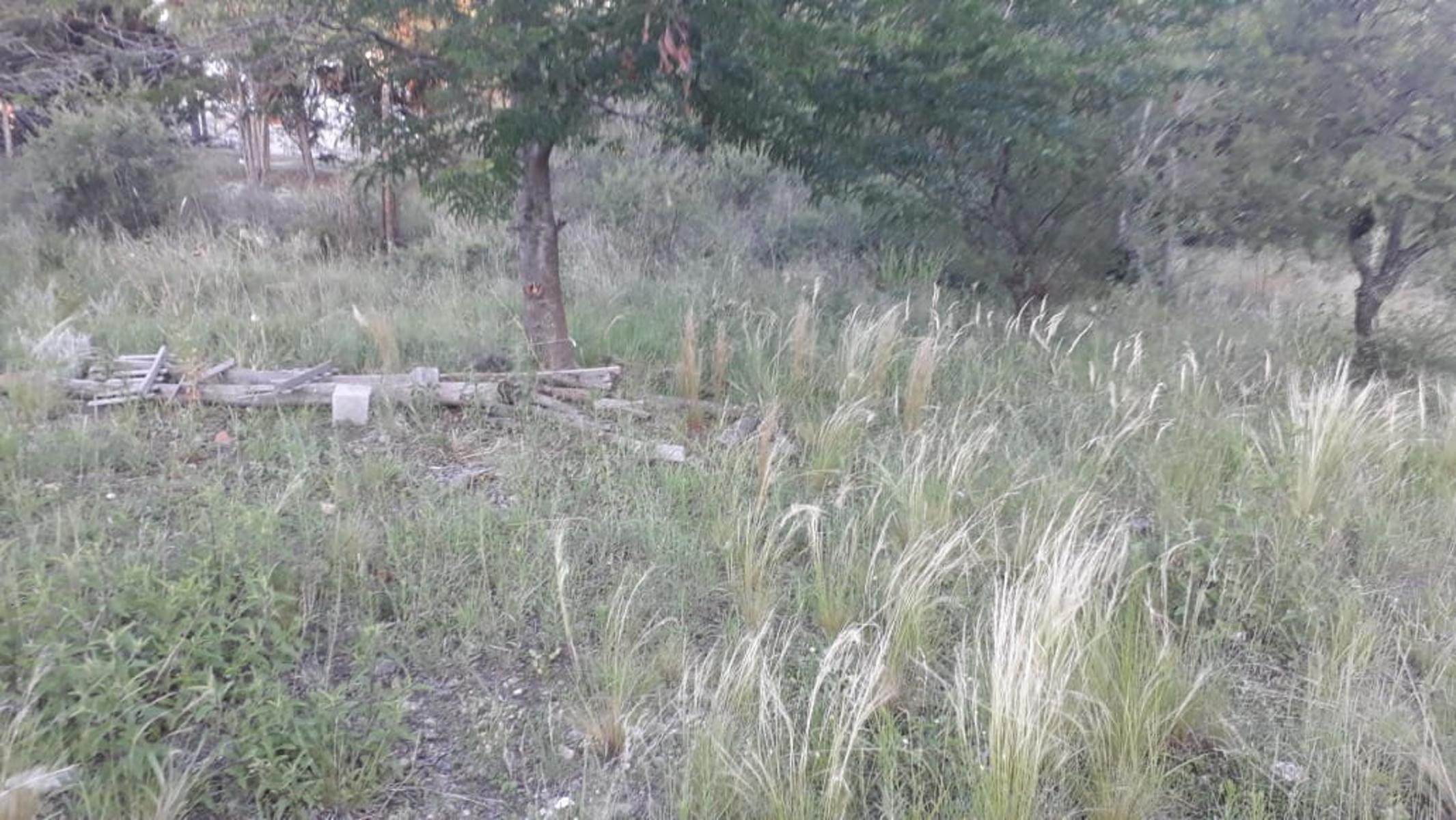 N°ref 1271-Hermoso terreno en Bialet Masse a 150m aprox de la Ruta 38 y a 50m del lago San Roque. — foto 7