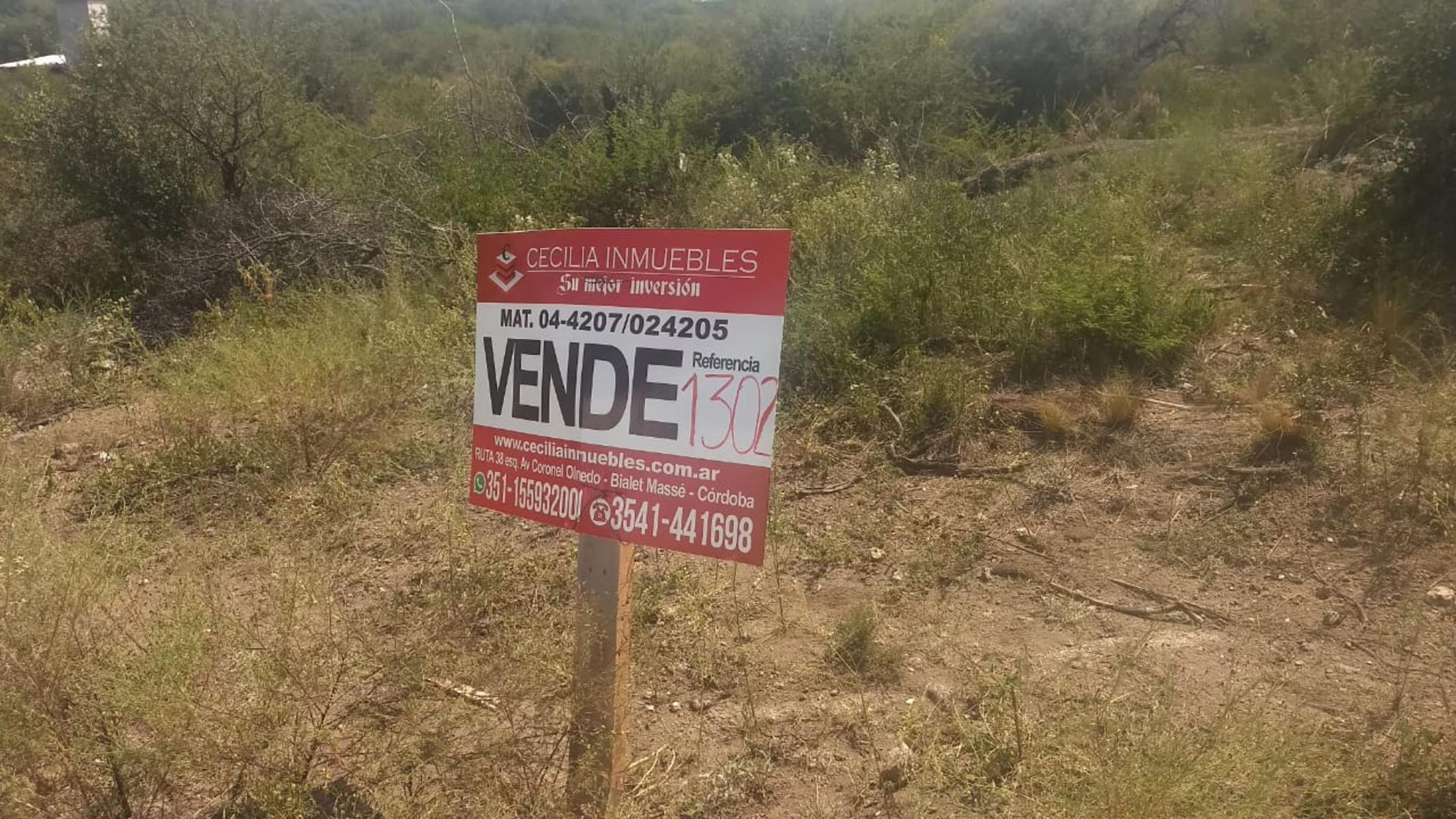Ref 1302 - Terreno en Bialet Masse con increíble vista a las altas cumbres y a 700m aprox del Rio Mallín