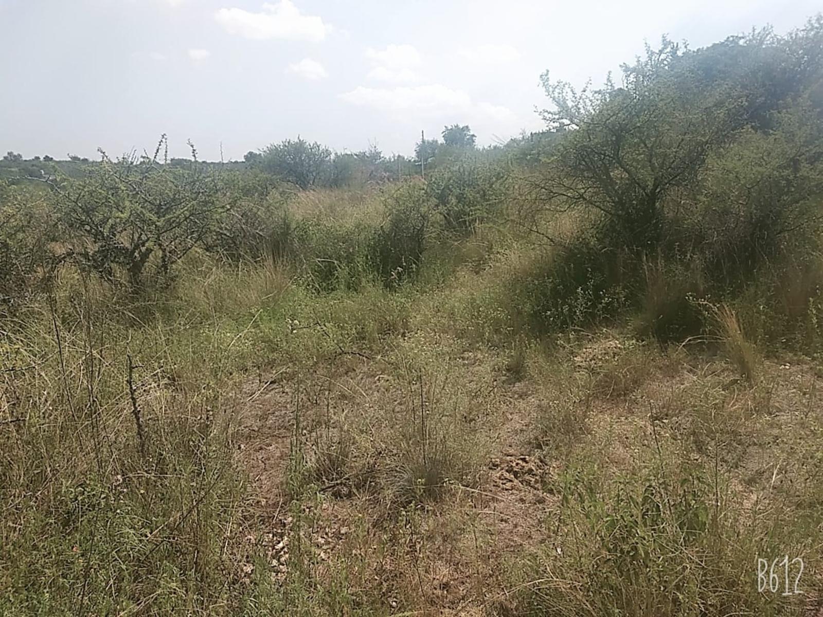 Ref 1302 - Terreno en Bialet Masse con increíble vista a las altas cumbres y a 700m aprox del Rio Mallín — foto 3