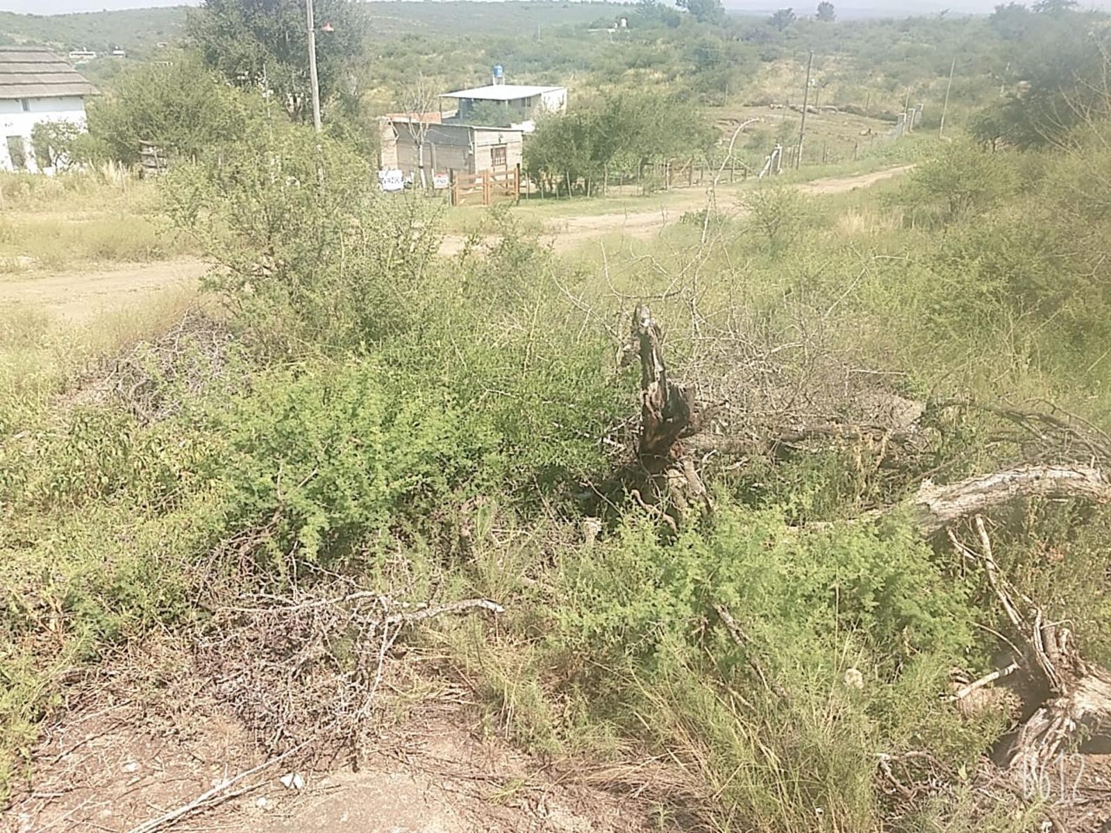 Ref 1302 - Terreno en Bialet Masse con increíble vista a las altas cumbres y a 700m aprox del Rio Mallín — foto 5