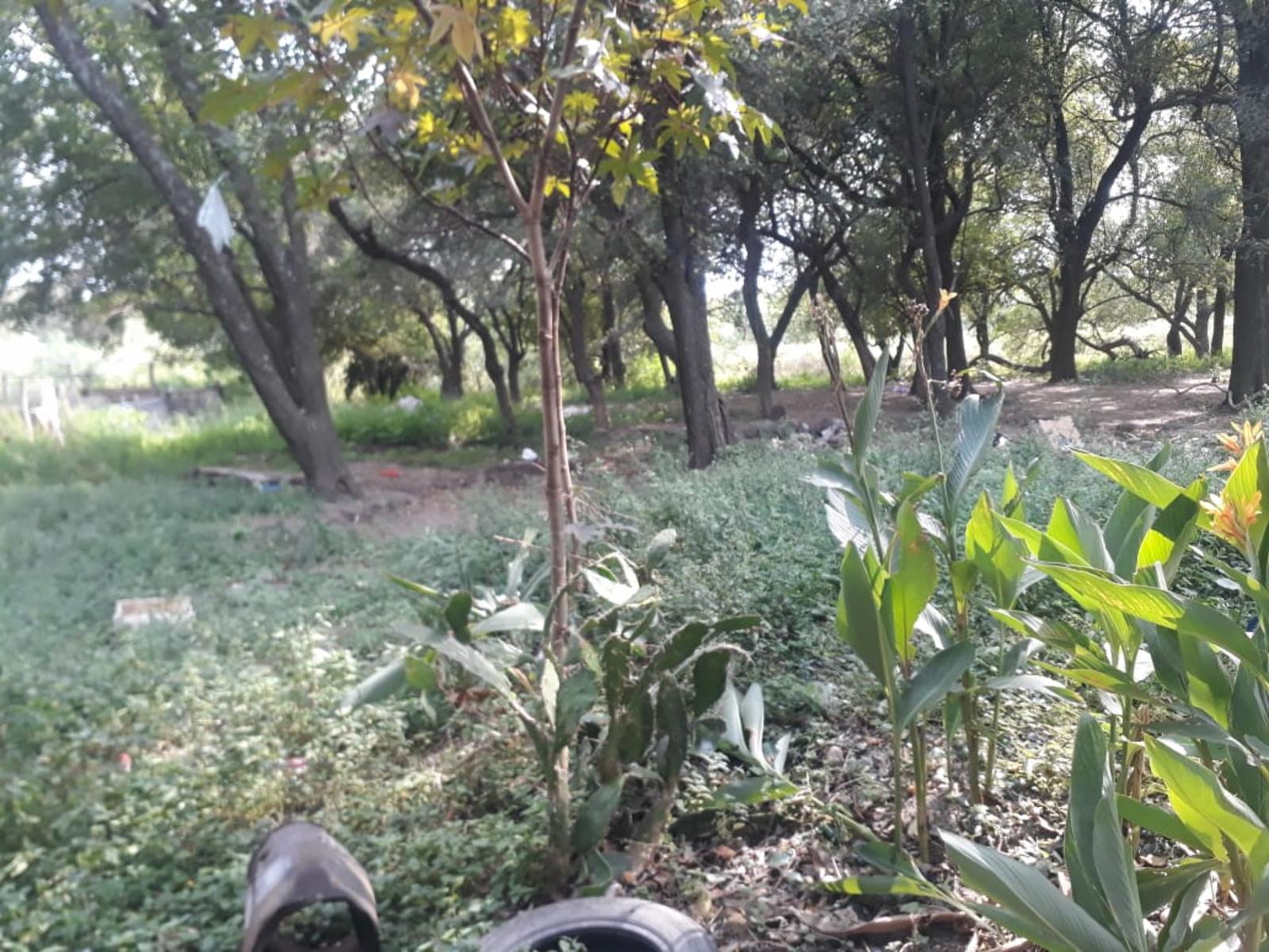 N°ref 1310-DOS TERRENOS MAS CASA EN PILAR CORDOBA BARRIO MALVINAS- ESCRITURA $396.000. - 6