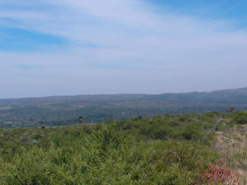 NUM DE REF 386, 22 hectareas en san esteban ideal complejo de cabañas o bº privado c/vista panor