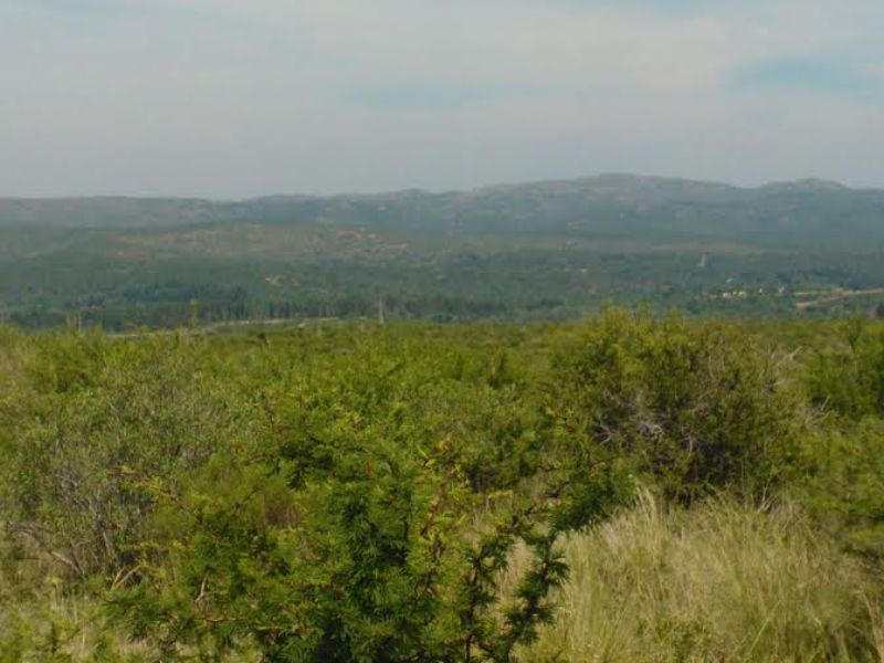 NUM DE REF 386, 22 hectareas en san esteban ideal complejo de cabañas o bº privado c/vista panor — foto 2