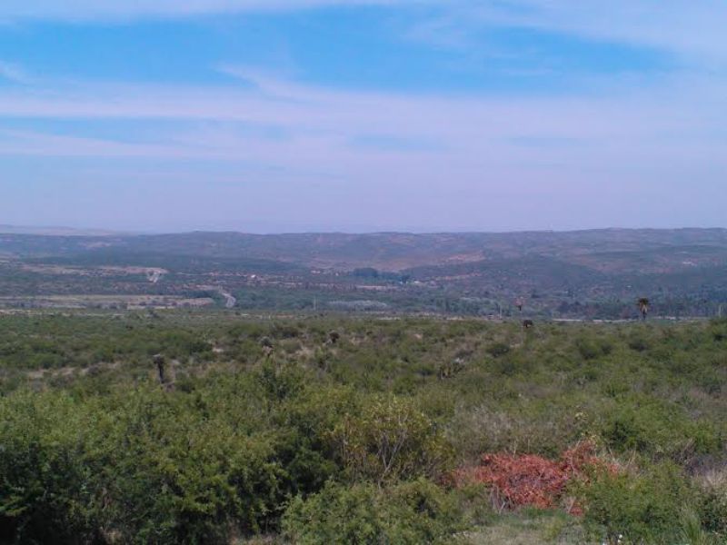 NUM DE REF 386, 22 hectareas en san esteban ideal complejo de cabañas o bº privado c/vista panor — foto 12