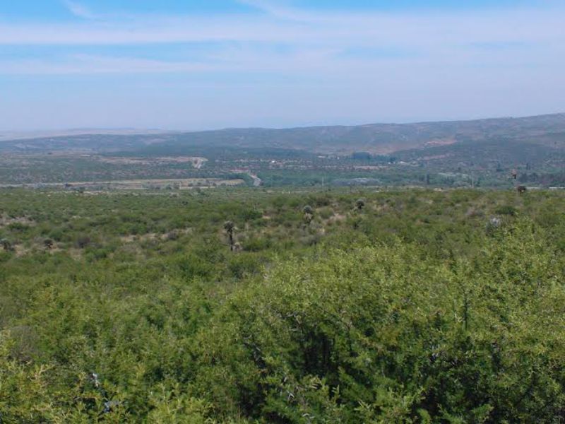 NUM DE REF 386, 22 hectareas en san esteban ideal complejo de cabañas o bº privado c/vista panor — foto 13