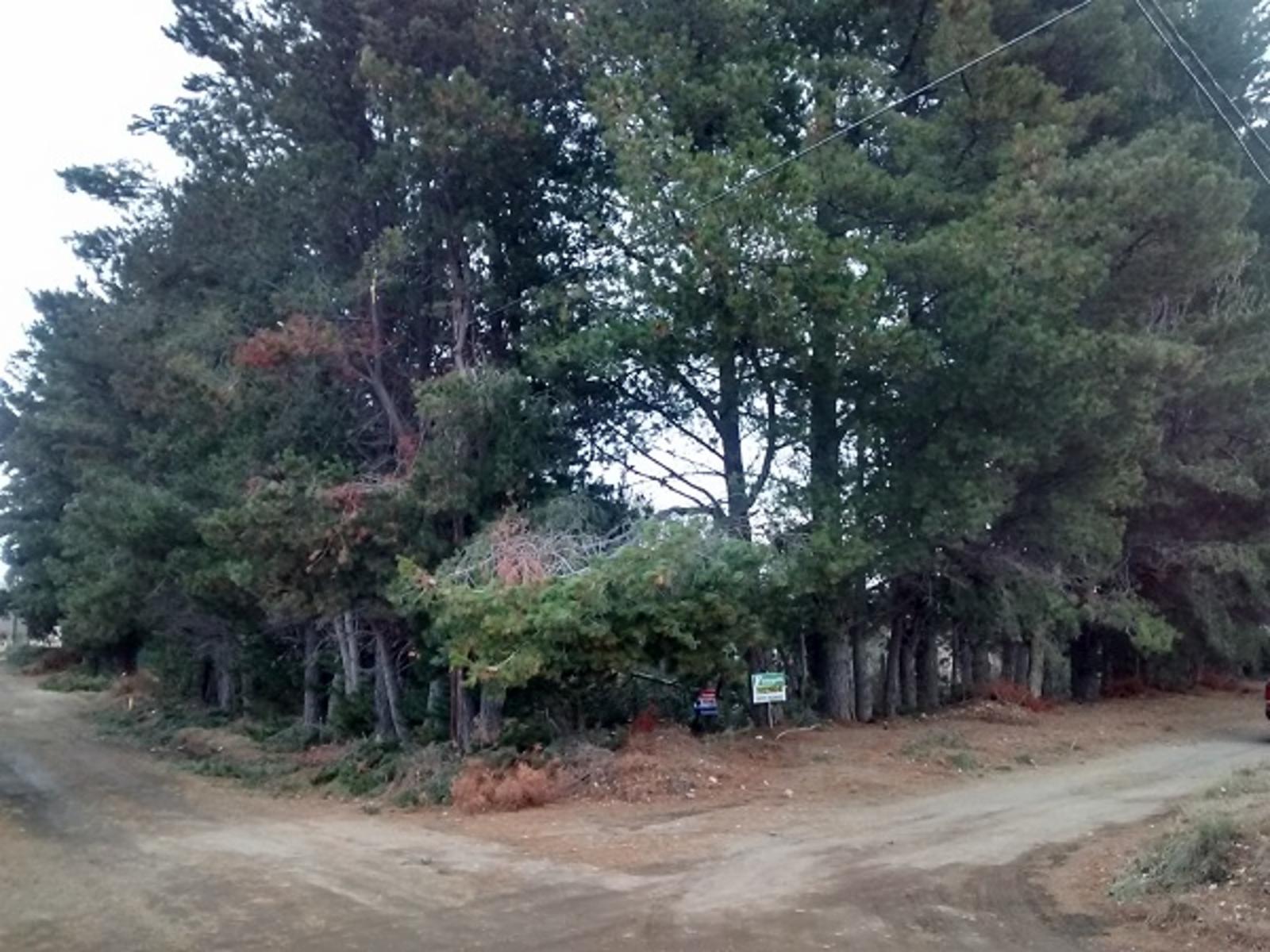 Excelente y amplio lote plano a 200mts del Lago -Dina Huapi- - 1