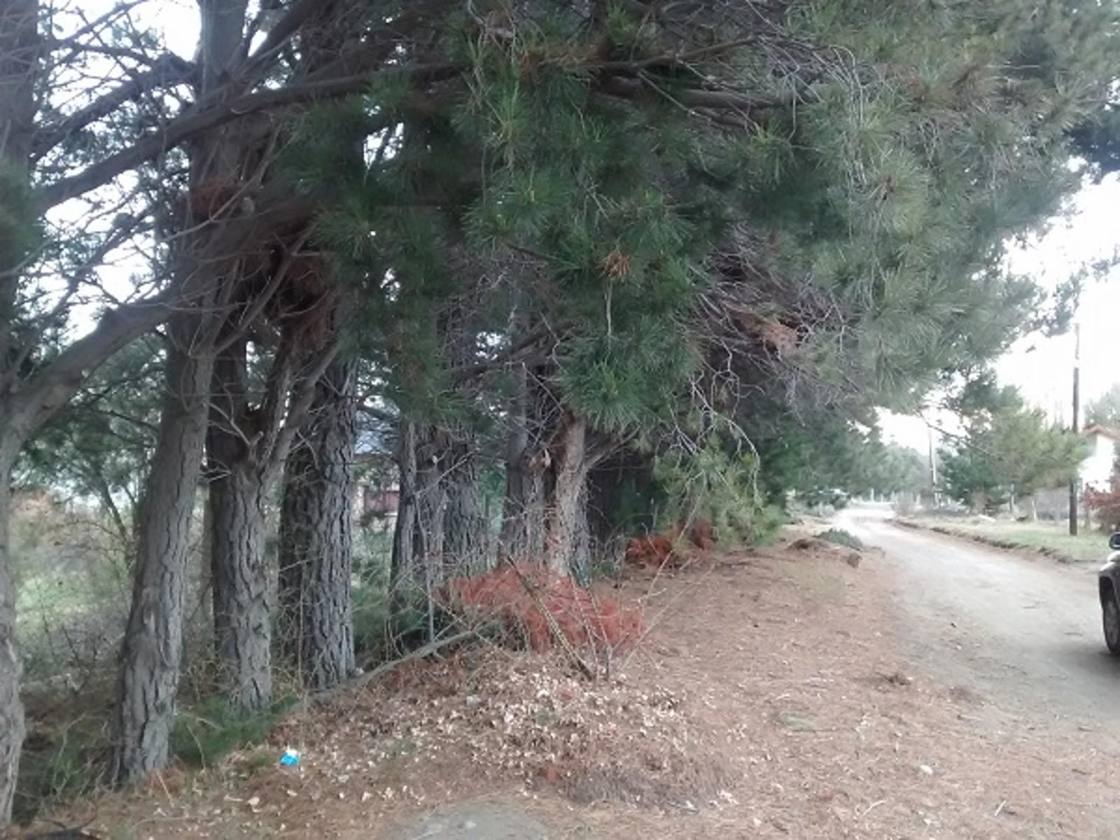 Excelente y amplio lote plano a 200mts del Lago -Dina Huapi — foto 3