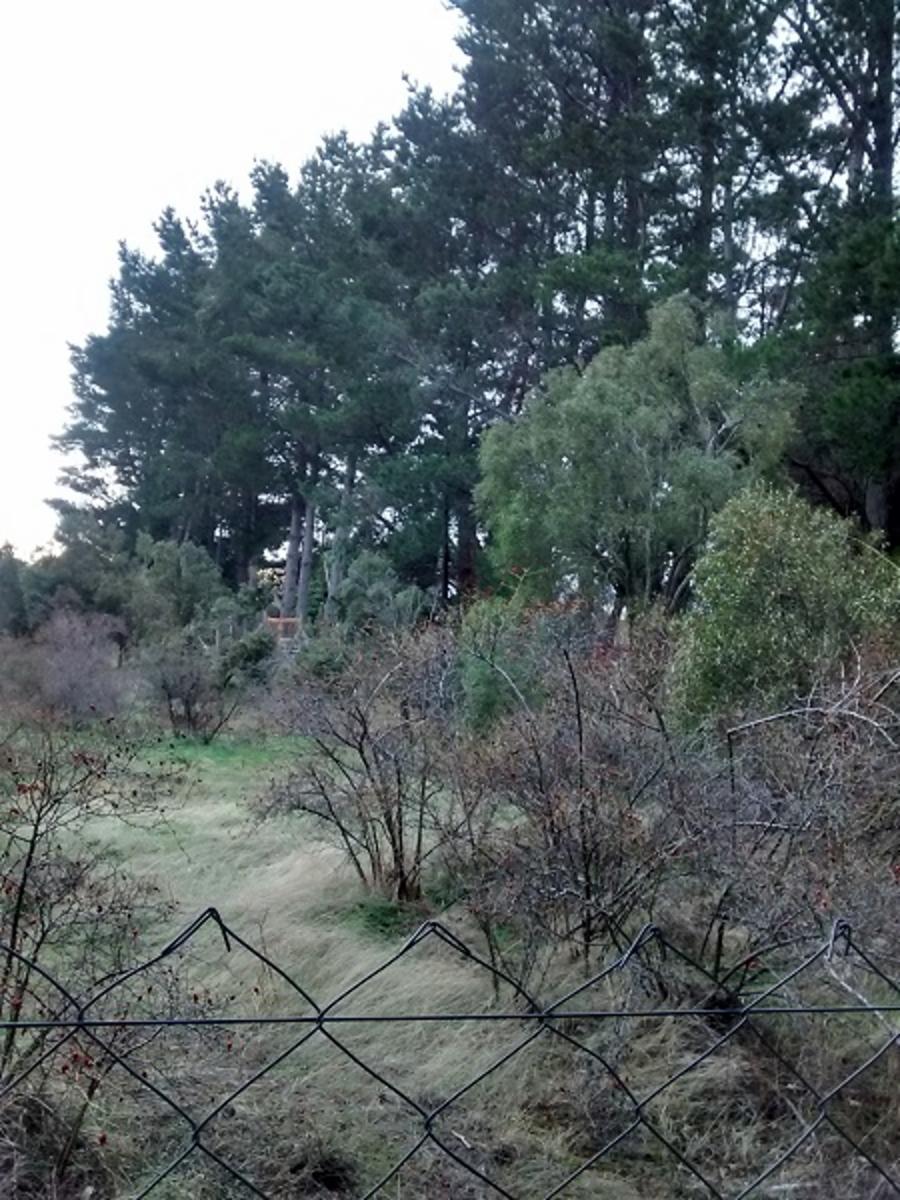 Excelente y amplio lote plano a 200mts del Lago -Dina Huapi — foto 4