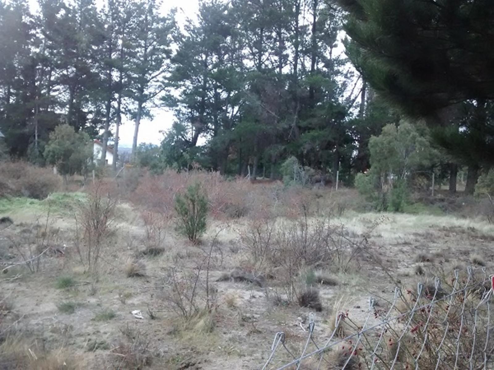Excelente y amplio lote plano a 200mts del Lago -Dina Huapi — foto 5