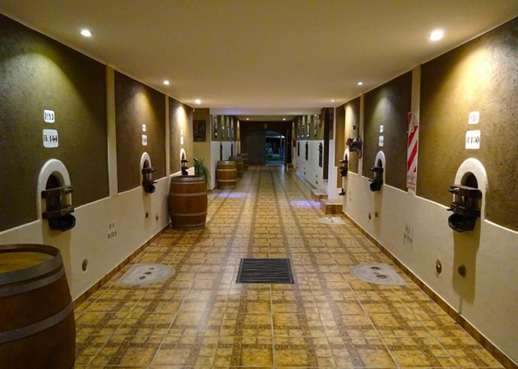 Exclusivo Apart Hotel –ex Bodega- en propiedad en San Rafael -Provincia de Mendoza - 8