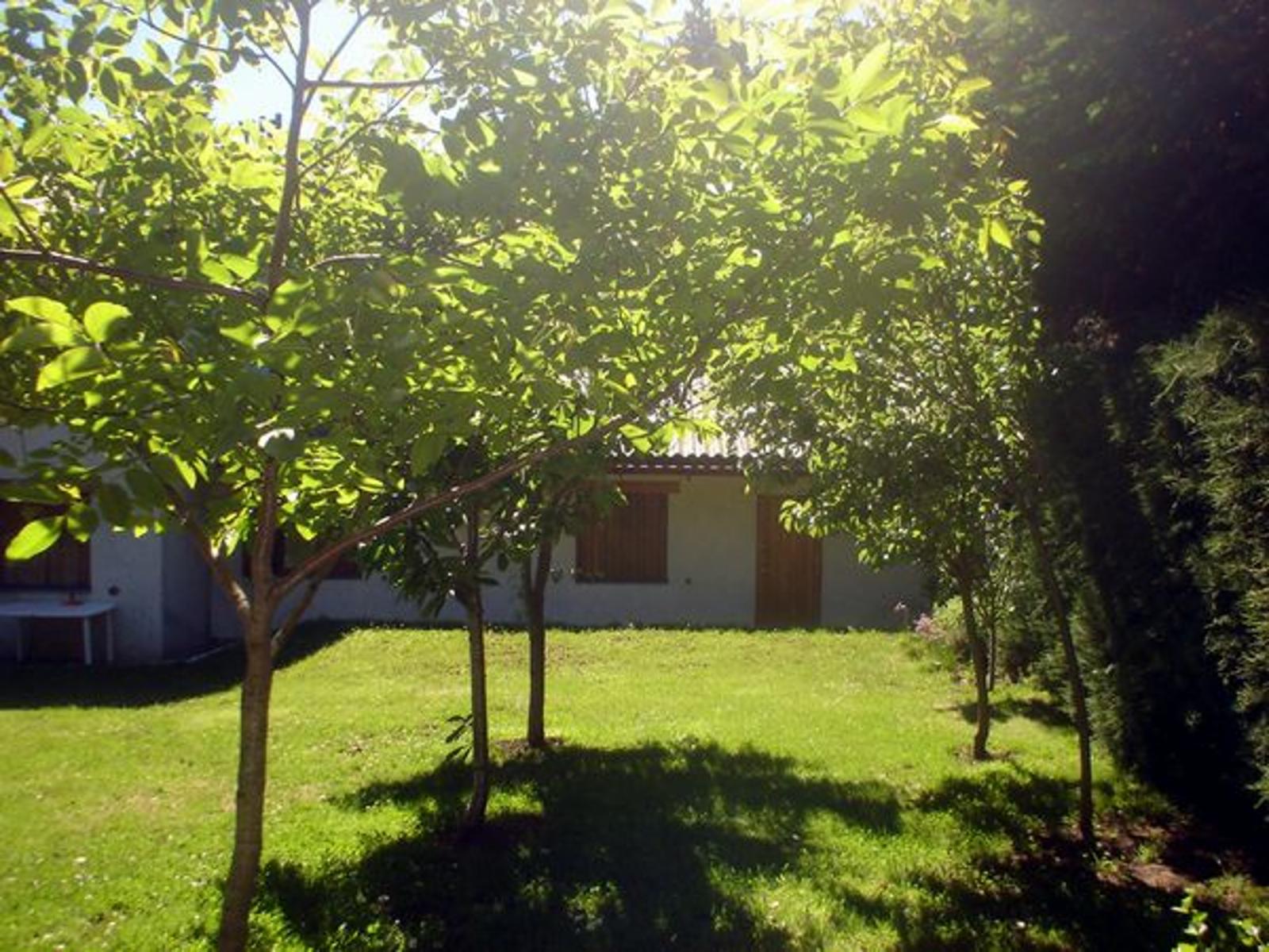 Amplia Casa Urbana apto uso residencial ò comercial — foto 8