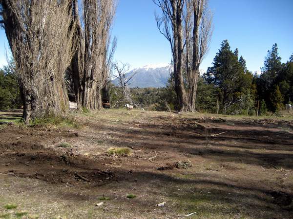 Excelente Finca de 27Has sobre asfalto con cabaña, arroyo y manantial - 2