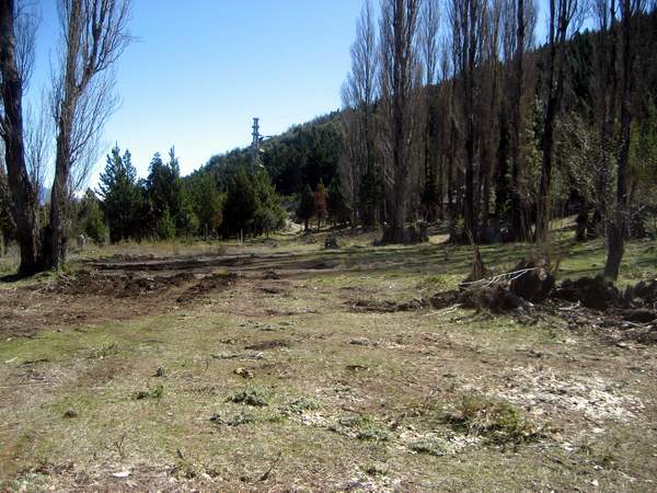 Excelente Finca de 27Has sobre asfalto con cabaña, arroyo y manantial - 3