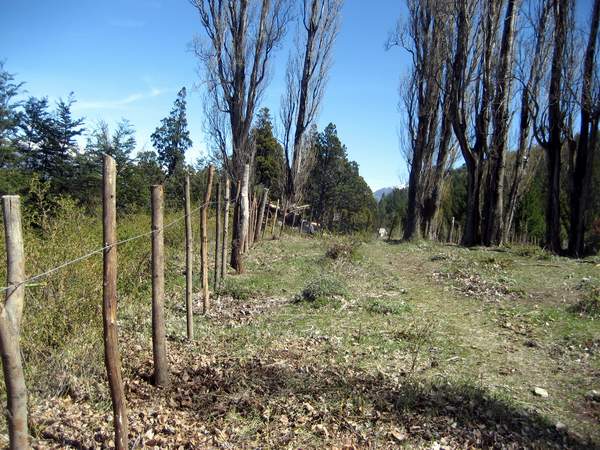 Excelente Finca de 27Has sobre asfalto con cabaña, arroyo y manantial - 4