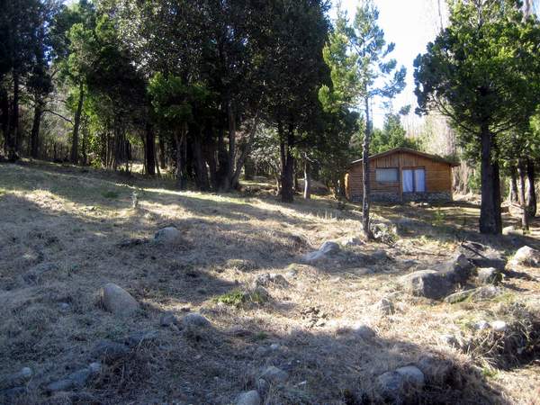 Excelente Finca de 27Has sobre asfalto con cabaña, arroyo y manantial - 8