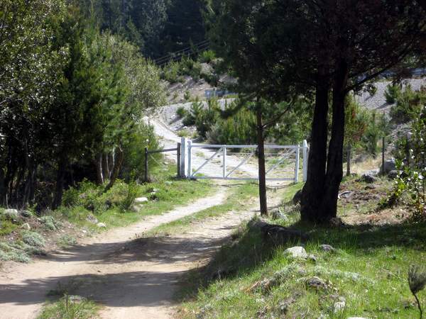 Excelente Finca de 27Has sobre asfalto con cabaña, arroyo y manantial - 9