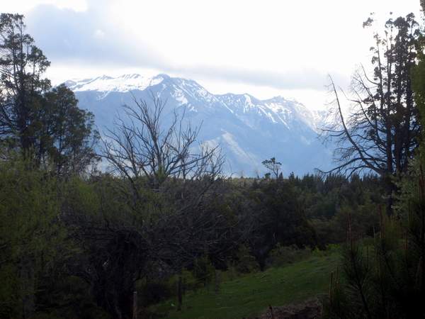 Excelente Finca de 27Has sobre asfalto con cabaña, arroyo y manantial - 11