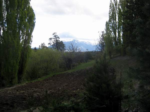 Excelente Finca de 27Has con agua, luz trifásica y sobre asfalto. Cabaña, arroyo y manantial - 11