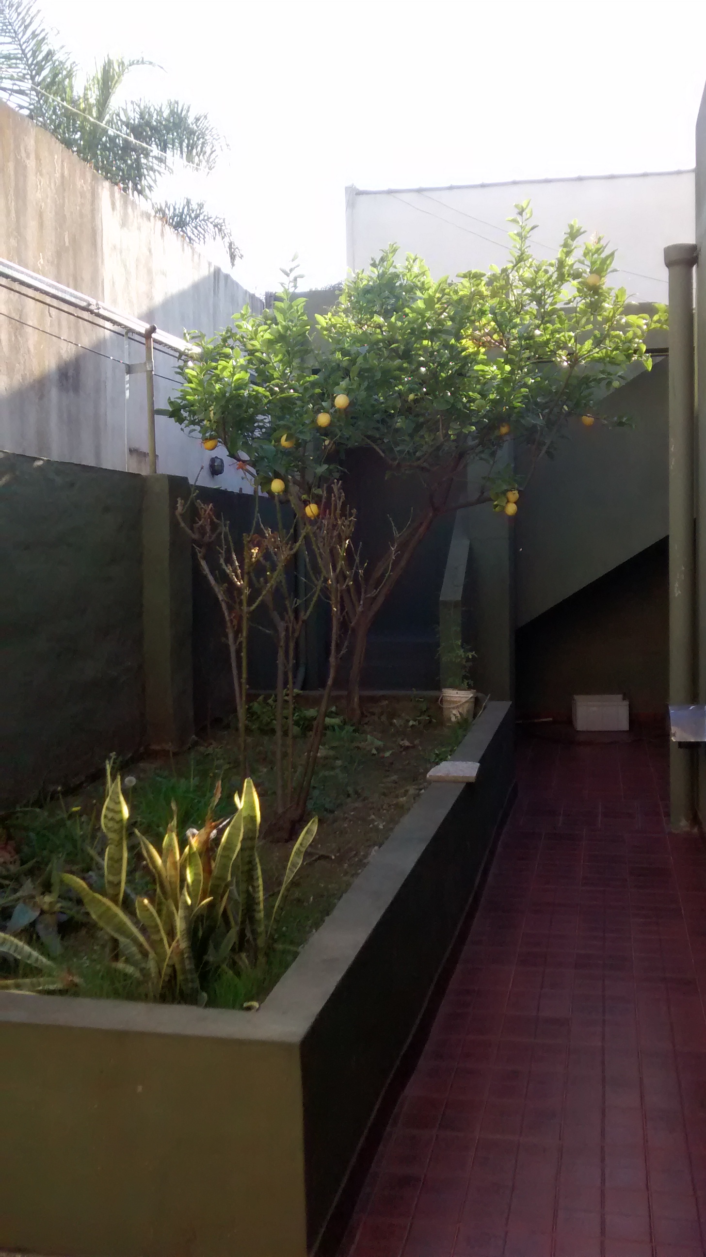 VENDE PH 3 AMBIENTES Y DEPARTAMENTO 2 AMBIENTES AL FRENTE VENDE EN BOCK