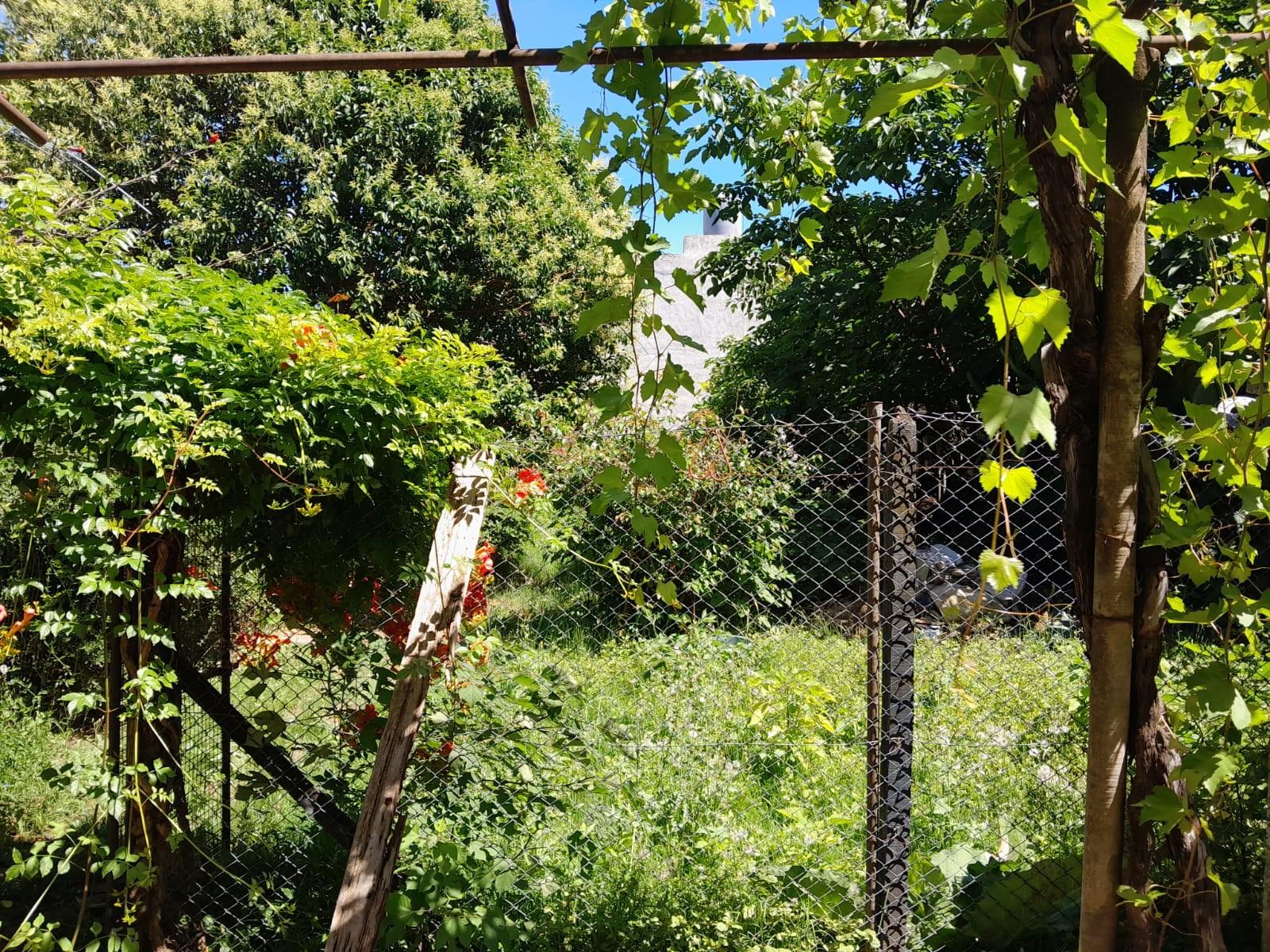 VENDE CASA 3 AMBIENTES CON LOCAL, LOTE 550 m2. ISIDRO CASANOVA — foto 10