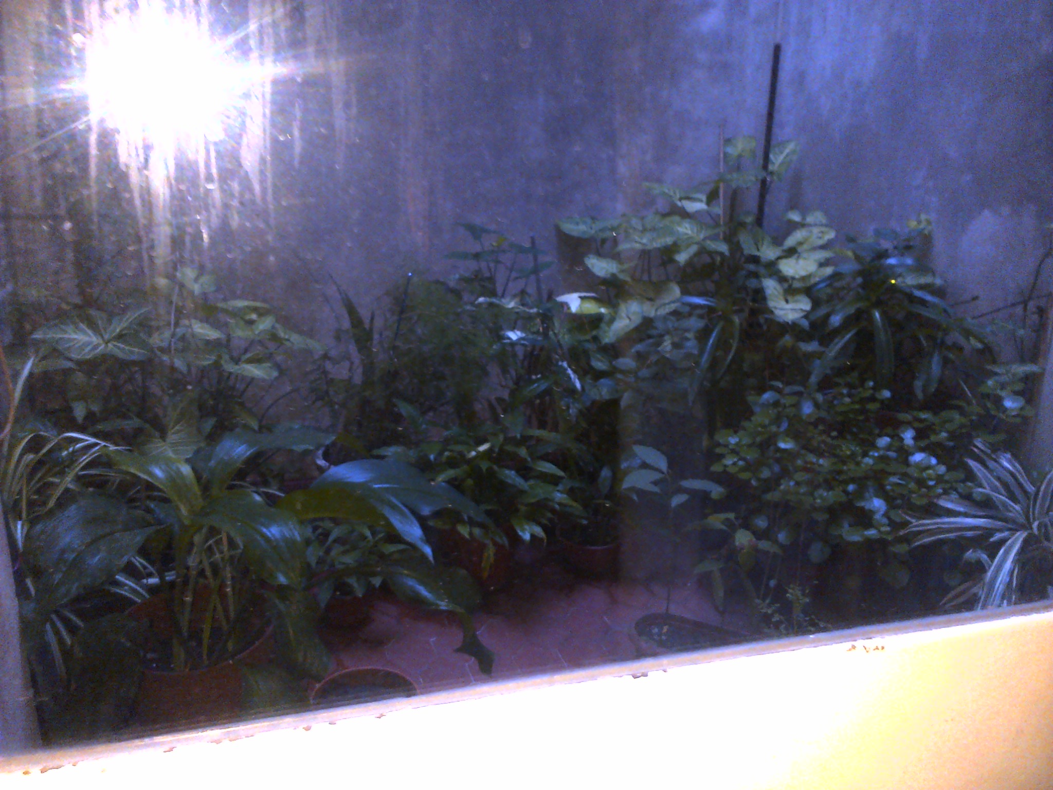 Vende casa 3 ambientes en 3 plantas Lomas del mirador PERMUTA — foto 8