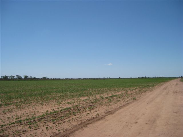 CAMPO AGRÍCOLA EN LAS LAJITAS PROVINCIA DE SALTA - 2