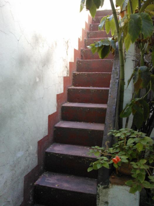 CASA EN PLANTA BAJA CON LOCAL COMERCIAL Y TERRAZA EXCLUSIVA — foto 9