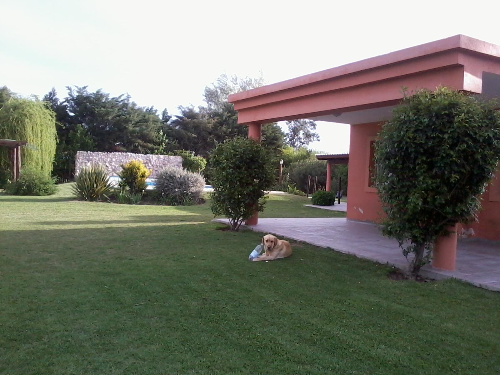 Casa quinta de categoría, pileta y quincho - 1