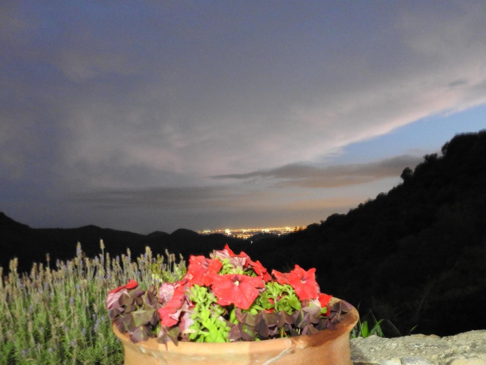 Restaurante y Apart de montaña El Solar - 3