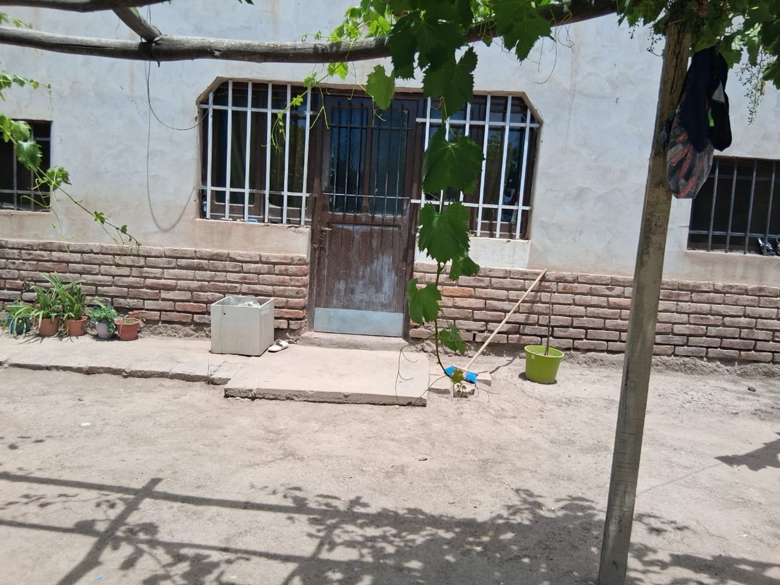 Finca en Venta - La Consulta - San Carlos - Mendoza - 5
