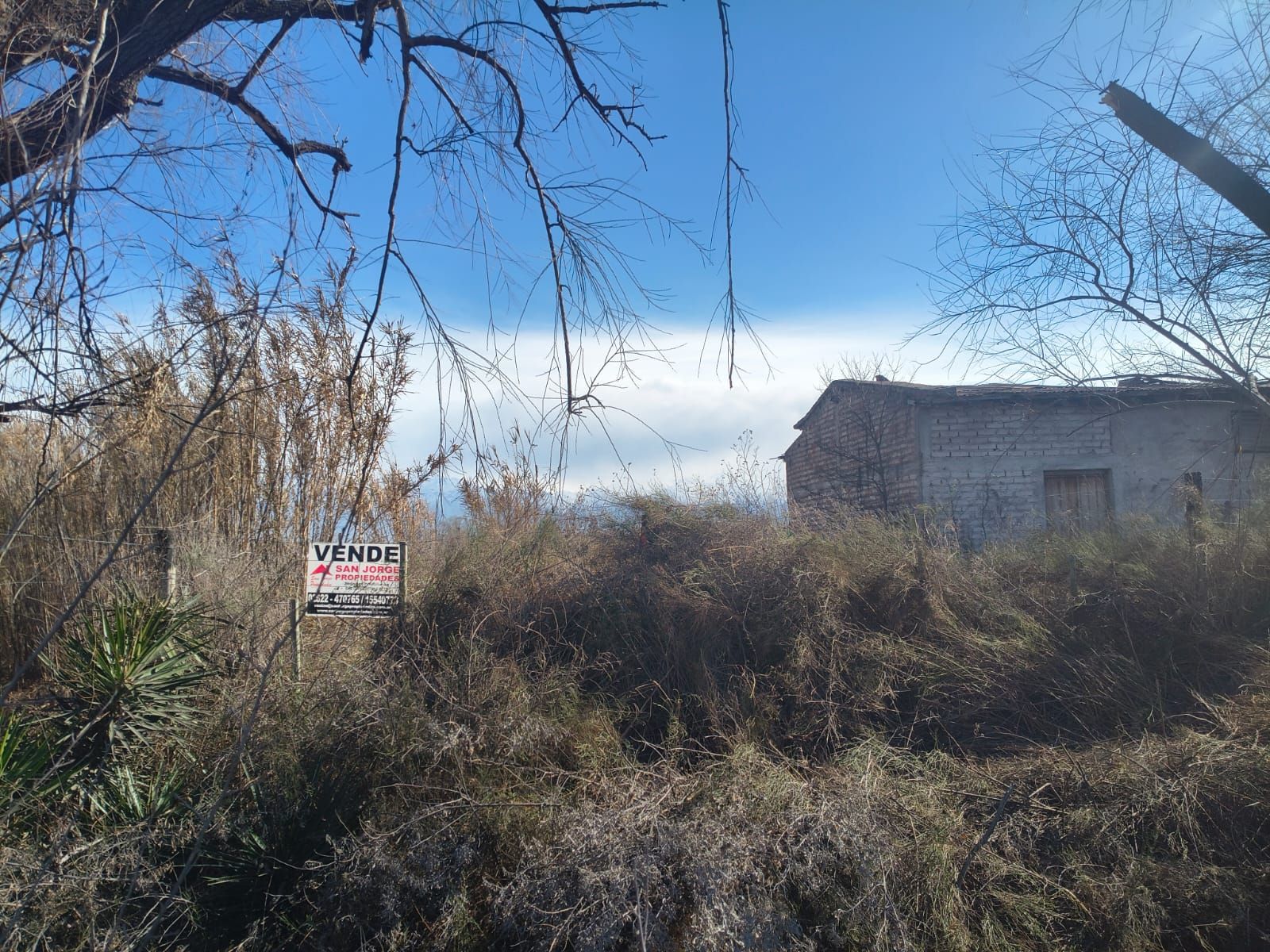 Lote en Venta - Tunuyán- Mendoza - 1