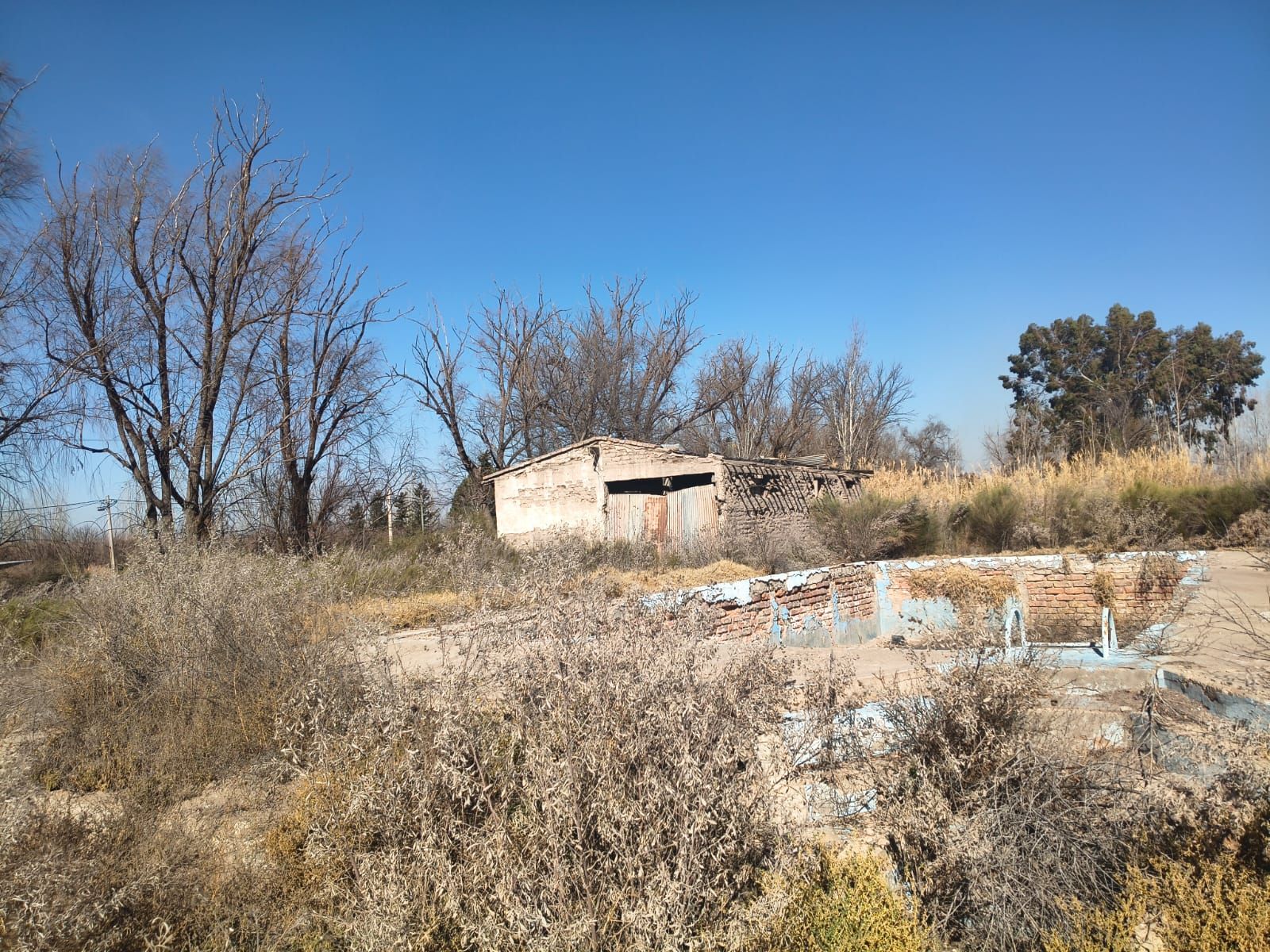 Lote en Venta - Tunuyán- Mendoza - 2