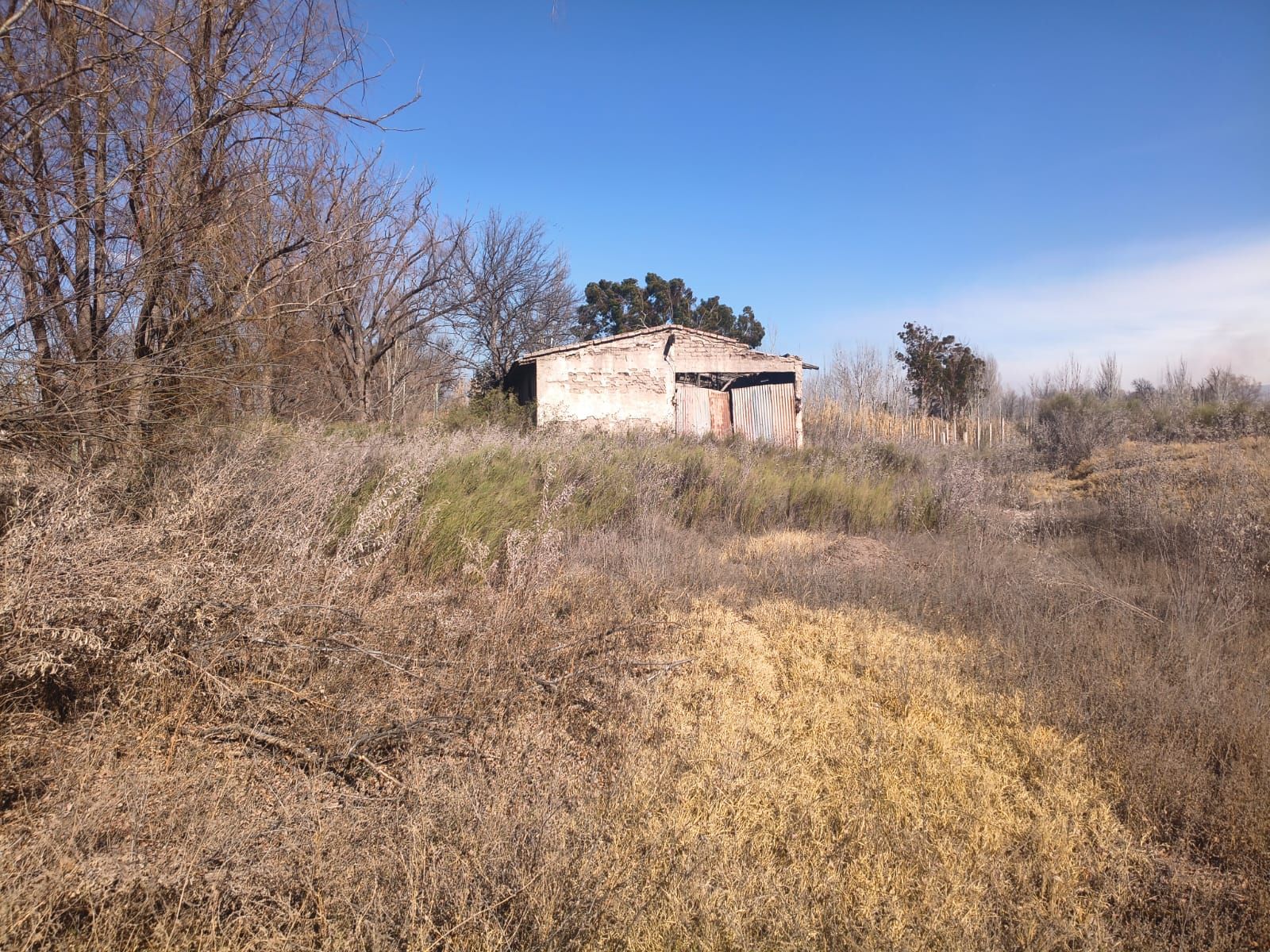 Lote en Venta - Tunuyán- Mendoza - 4